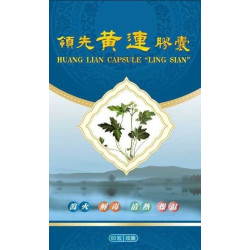 "領先"黃連膠囊 "領先"黃連膠囊